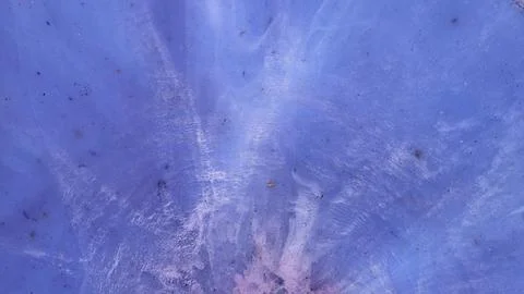 Mixing different colored alcohol inks and epoxy resin in a close-up view Stock Photos