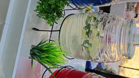 Mixing drinks at a party with colorful jars and plants on a table Stock Footage 340461990