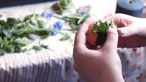 Mixing Easter Eggs With Grass to Color It In Onion Husks Stock Footage 106808995