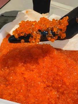 Mixing eggs with gloved hand. red caviar in a plastic container. Stock Photos