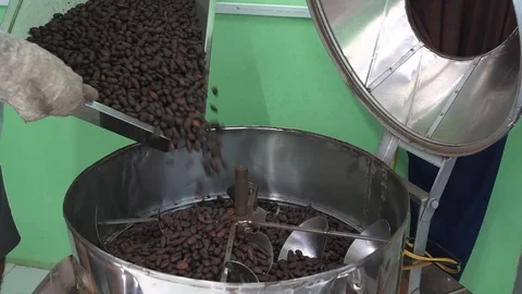 Mixing fresh roasted cocoa beans. Putting cocoa beans into machine. Video stock 88951310