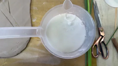 Mixing liquid plaster in a measuring jug for pouring into botanical clay mold. P Vidéo 314187958