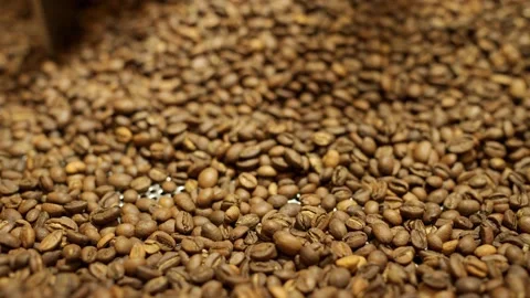 Mixing machine mixes freshly roasted coffee beans, close up Vídeos de archivo 170697478