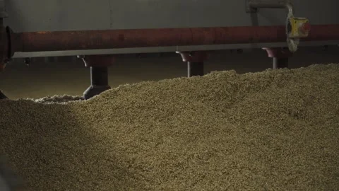 Mixing of malt. Manual filming Vídeo Stock 317543353