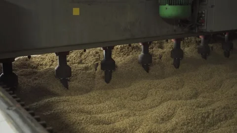 Mixing of malt. Manual filming Vídeos de archivo 317544331