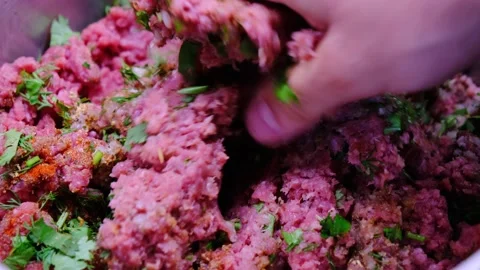 Mixing minced meat with spices 스톡 동영상 201084475