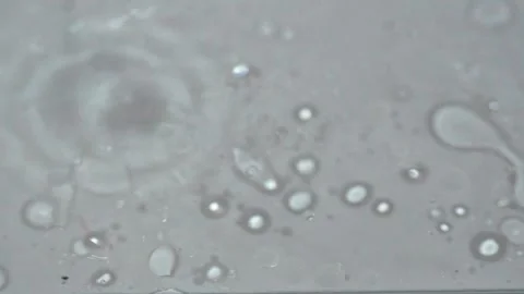Mixing Oil And Water - Lab Experiment Stock Footage 278361853
