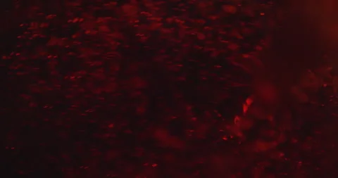 Mixing Paint Stock Footage 320357859