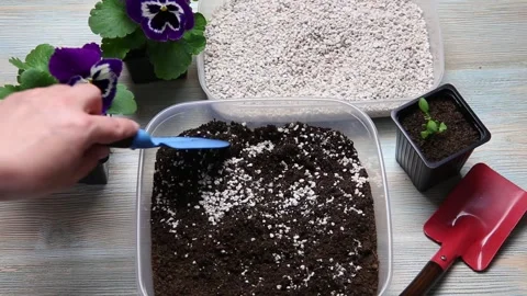 Mixing perlite granules pellets with black gardening soil. Stock Footage 152585737