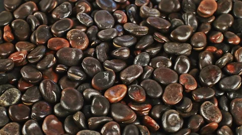 Mixing raw beans close up rotation, able to loop Stock Footage 53357682