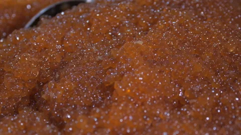 Mixing red caviar on close-up Stock-Footage 96757678