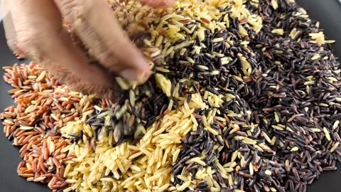 Mixing rice Stock Footage 318287503