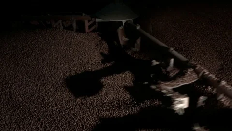 Mixing roasted coffee Stock Footage 84647695