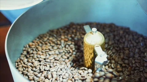 Mixing of roasted coffee. Partial removal of bad grains. The roasted coffee Stock Footage 89923326
