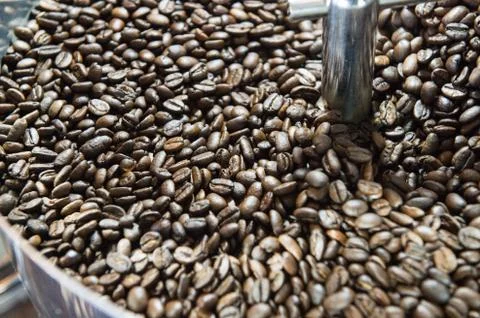 Mixing roasted coffee Stock Photos