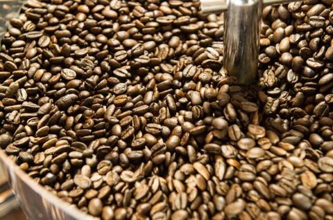 Mixing roasted coffee Foto stock