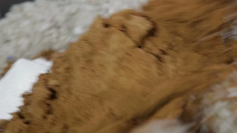 Mixing sand, dye and plastic for plastic tile production Stock Footage 88360317