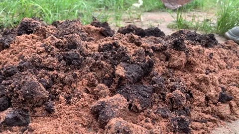 Mixing soil Stock Footage 313072915