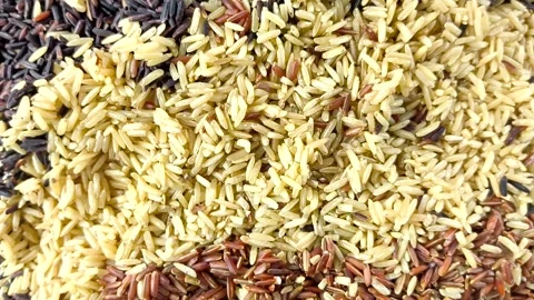 Mixrice4 Stock Footage 318287354