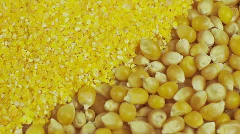 Mixture of ground and beans corn background rotation Stock Footage 53788604