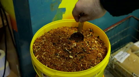 A mixture of Indian spices Stock Footage 49093123