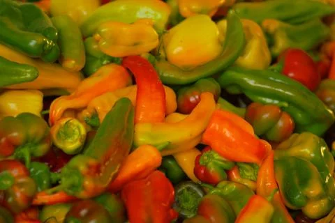 Mixture of multicolored peppers Stock Photos