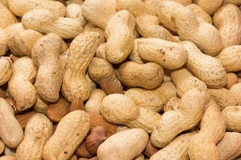 Mixture of nuts of different varieties and sizes Fotos Stock