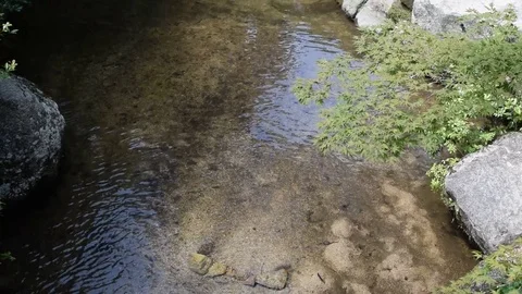 Miyajima river Japan Stock Footage 79272142