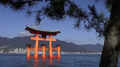Miyajima Torii Gate And Pine Tree Stock Footage 21247068