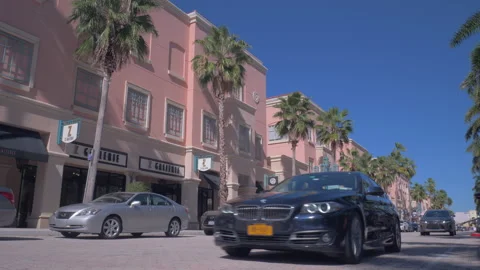 Mizner Park Stock Footage 169749161