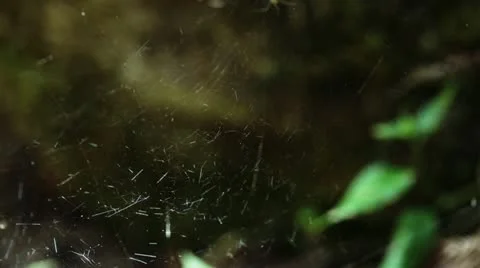 Mizu0003 Stock Footage 11064266