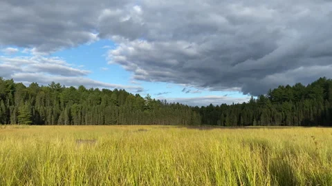 Mizzy Lake Trail At Sunset In Algonquin Park, Ontario 스톡 동영상 243684116