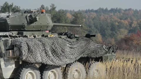 Mk44 Bushmaster II Live Fire - M1296, M1128, M1126 Strykers in Action 003 Video stock 166449667