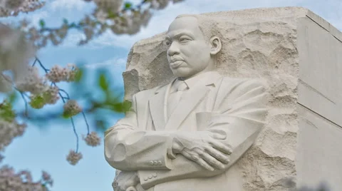 MLK Memorial Cherry Blossoms [Pan, Focus Pull] Stock Footage 49135932
