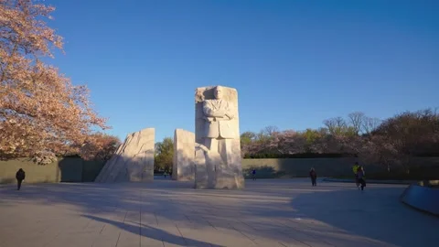 MLK Memorial During Peak Bloom Stock Footage 306011049
