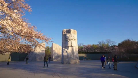 MLK Memorial During Peak Bloom Stock Footage 306011053