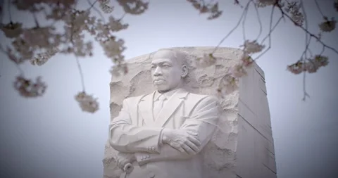 MLK Memorial, in Spring Stock Footage 236860279