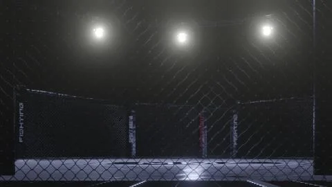 Mma arena side view. Empty fight cage under lights. 3D rendering Stock Illustration