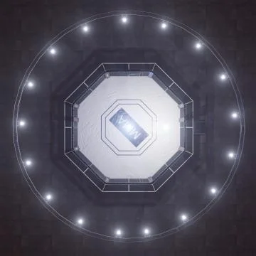 Mma arena top view. Empty fight cage under lights. 3D rendering Ilustração Stock