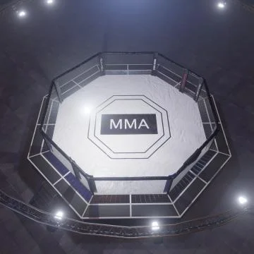 Mma arena top view. Empty fight cage under lights. 3D rendering Stock Illustration