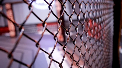 MMA Cage Rack Focus Close Up Stock Footage 108410205