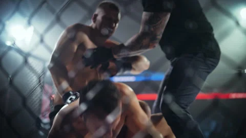 MMA Fighter Submitting Opponent Stock Footage 295182882