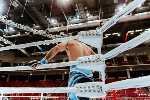 MMA fighter in white corner of ring Stock Photos