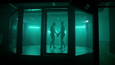 MMA fighters enter the cage ring. Mixed martial arts fight. Stockbeeldmateriaal 238548298