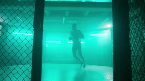 MMA fighters enter the cage ring. Mixed martial arts fight. Stock Footage 238548470