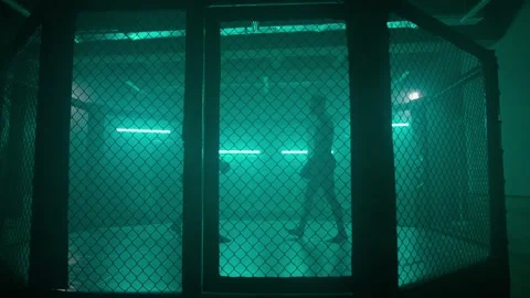 MMA fighters enter the cage ring. Mixed martial arts fight. Stock Footage 238548928