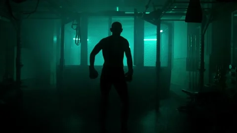 MMA fighters enter the cage ring. Mixed martial arts fight. Stock Footage 238548993