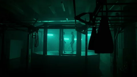 MMA fighters enter the cage ring. Mixed martial arts fight. Stock-Footage 238549219