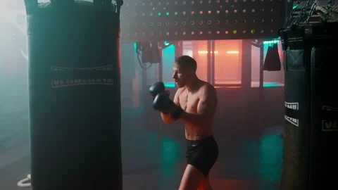 MMA fighters enter the cage ring. Mixed martial arts fight. Vídeos de archivo 238549332