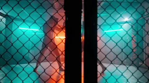 MMA fighters enter the cage ring. Mixed martial arts fight. 動画素材 238549419